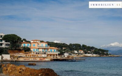 Mallorca 2026: Warum die Insel aktuell so begehrt ist