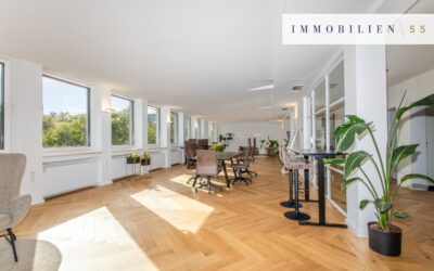 Netzwerk am Ring: Coworking bei Immobilien55